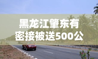 黑龙江肇东有密接被送500公里外隔离 · 黑龙江省肇东市有没有新型冠状病毒