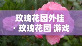 玫瑰花园外挂 · 玫瑰花园 游戏