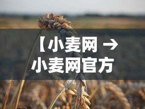 【小麦网 → 小麦网官方】 【小麦网 → 小麦网官方】