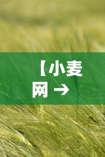 【小麦网 → 小麦网官方】