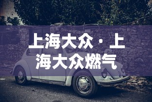 上海大众 · 上海大众燃气 上海大众 · 上海大众燃气