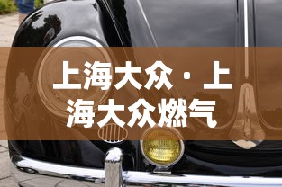 上海大众 · 上海大众燃气