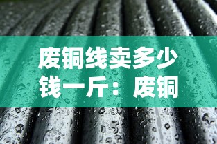 废铜线卖多少钱一斤:废铜线卖多少钱一斤2026年价格