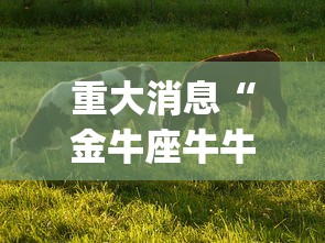 使用分享!快乐打筒子究竟有挂吗”开挂(透视)辅助教程