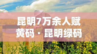 昆明7万余人赋黄码 · 昆明绿码