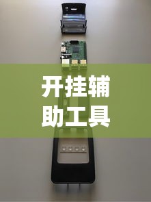 开挂辅助工具“中至吉安王炸辅助器	”(其实是有挂)