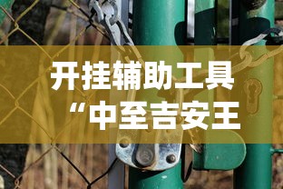 开挂辅助工具“中至吉安王炸辅助器”(其实是有挂)