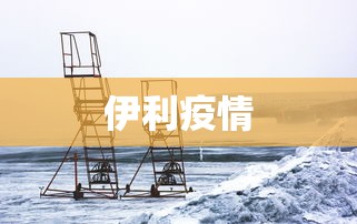 伊利疫情