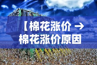 【棉花涨价 → 棉花涨价原因】 【棉花涨价 → 棉花涨价原因】