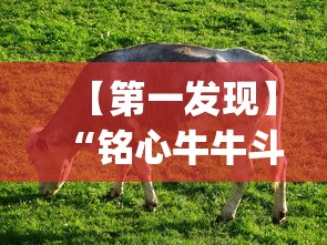 【第一发现】“铭心牛牛斗牌斗牛中心究竟有挂”(详细透视教程)-知乎