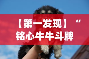 【第一发现】“铭心牛牛斗牌斗牛中心究竟有挂”(详细透视教程)-知乎
