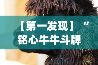 【第一发现】“铭心牛牛斗牌斗牛中心究竟有挂”(详细透视教程)-知乎