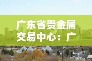广东省贵金属交易中心:广东省贵金属交易中心联系电话