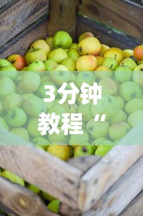 3分钟教程“浙江游戏大厅辅助器苹果版”(太坑了果然有挂)