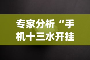 专家分析“手机十三水开挂神器”开挂(透视)辅助教程