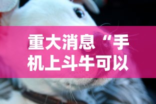 重大消息“手机上斗牛可以开挂吗”-详细教程
