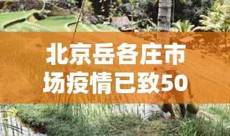 北京岳各庄市场疫情已致50人感染：北京岳各庄疫情今天