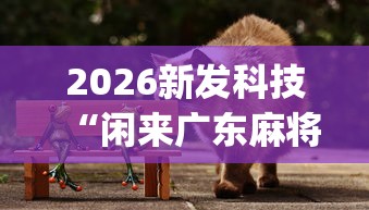 2026新发科技“闲来广东麻将挂先试用再付款	”(曝光透视必备猫腻)