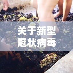 关于新型冠状病毒的心得体会