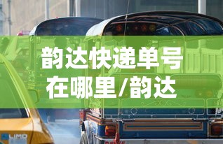 韵达快递单号在哪里/韵达快递单号在哪里查询 韵达快递单号在哪里/韵达快递单号在哪里查询