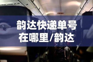 韵达快递单号在哪里/韵达快递单号在哪里查询