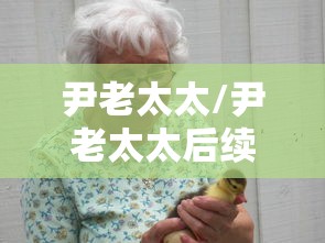 尹老太太/尹老太太后续