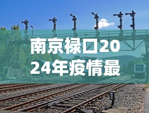 南京禄口2024年疫情最新消息 · 南京禄口役情