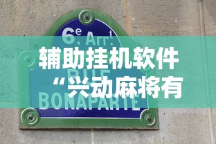 辅助挂机软件“兴动麻将有挂吗”真的有挂