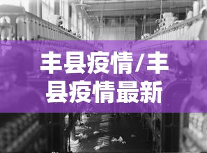 丰县疫情/丰县疫情最新消息公布表