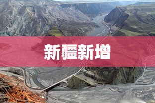 新疆新增 新疆新增