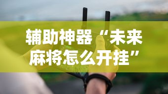 辅助神器“未来麻将怎么开挂”真实开挂技巧分享