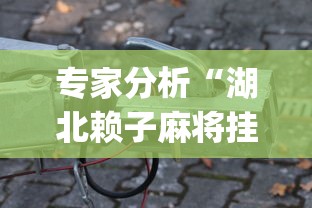 专家分析“湖北赖子麻将挂官方下载	”(原来确实是有插件) 