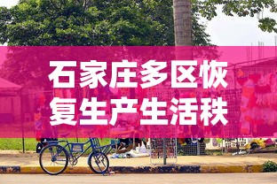 石家庄多区恢复生产生活秩序 · 石家庄即将重启