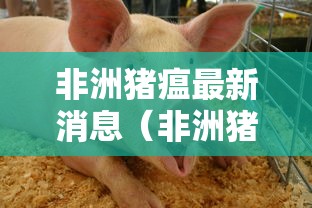 非洲猪瘟最新消息（非洲猪瘟最新消息汇总）