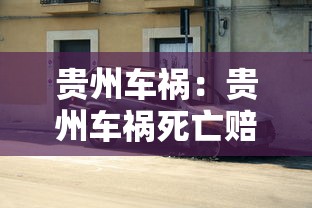 贵州车祸：贵州车祸死亡赔偿标准