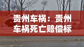 贵州车祸:贵州车祸死亡赔偿标准 贵州车祸:贵州车祸死亡赔偿标准