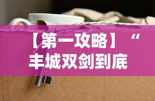【第一攻略】“丰城双剑到底有没有挂”详细分享装挂