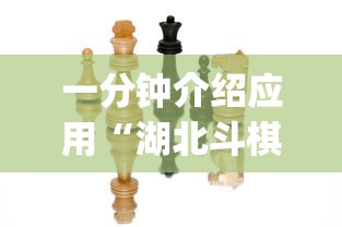 一分钟介绍应用“湖北斗棋麻将开挂器	”(透视)其实真的有挂