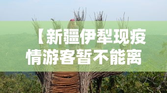 【新疆伊犁现疫情游客暂不能离开 → 新疆伊犁的疫情怎么样】
