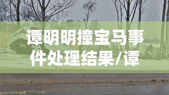 谭明明撞宝马事件处理结果/谭明明撞宝马事件最终处理结果