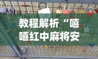 教程解析“嘻嘻红中麻将安装挂”(果然有透视挂) 
