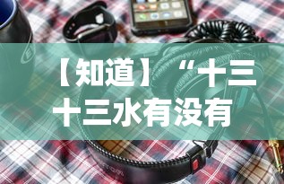 【知道】“十三十三水有没有辅助”(必备工具)辅助教学