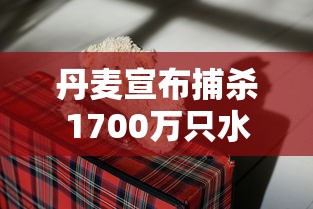 丹麦宣布捕杀1700万只水貂 丹麦宣布捕杀1700万只水貂