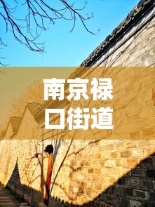 南京禄口街道解封 · 南京禄口镇解封了吗