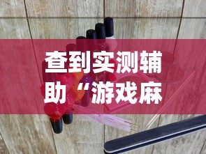 查到实测辅助“游戏麻将开挂怎么开啊?”(确实有挂)