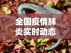 全国疫情肺炎实时动态(全国肺炎疫情实时数据) 全国疫情肺炎实时动态(全国肺炎疫情实时数据)