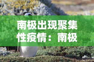 南极出现聚集性疫情：南极有新冠肺炎病例