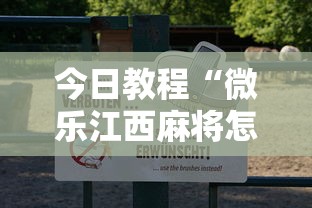 今日教程“微乐江西麻将怎样开挂”辅助工具插件,揭秘技巧开挂