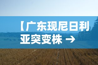 【广东现尼日利亚突变株 → 广州的尼日利亚事件】 【广东现尼日利亚突变株 → 广州的尼日利亚事件】