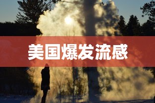 美国爆发流感